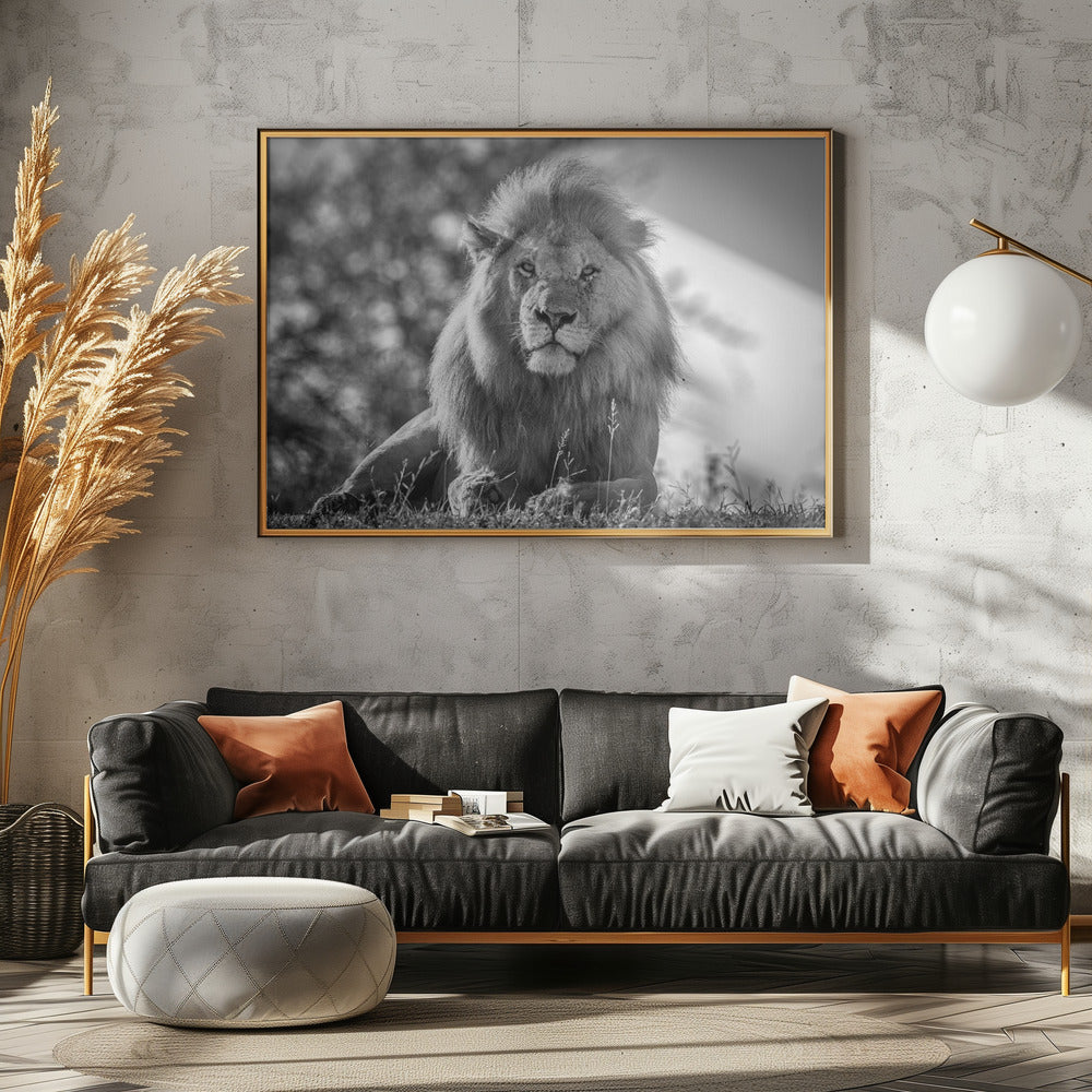 Monochromatic lion king | Canvas