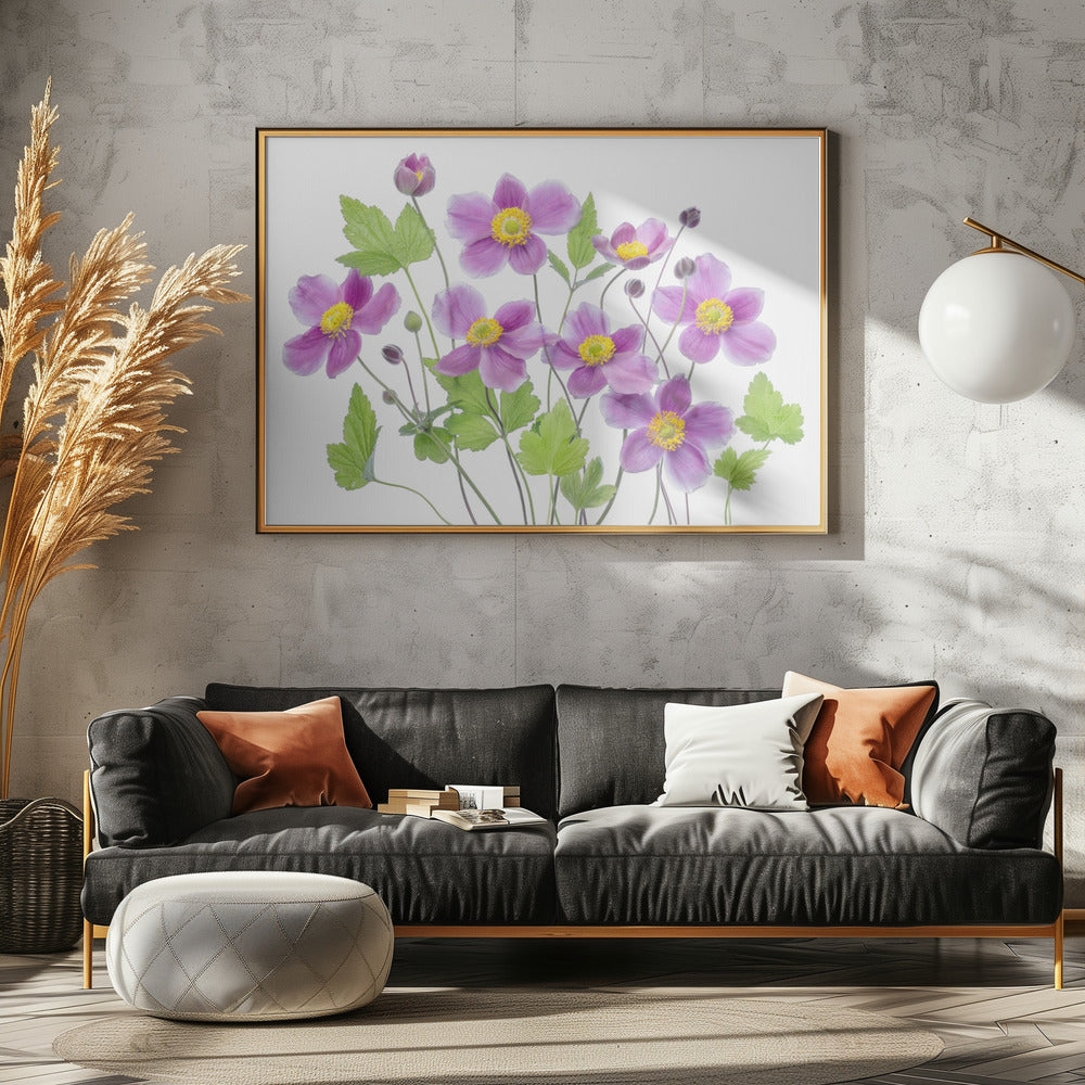 Anemone 'Hadspen Abundance' | Canvas