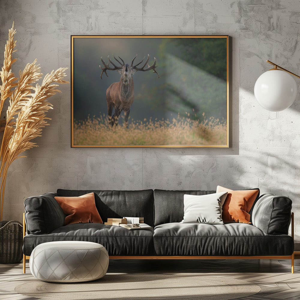 Deer wedding Song | Canvas