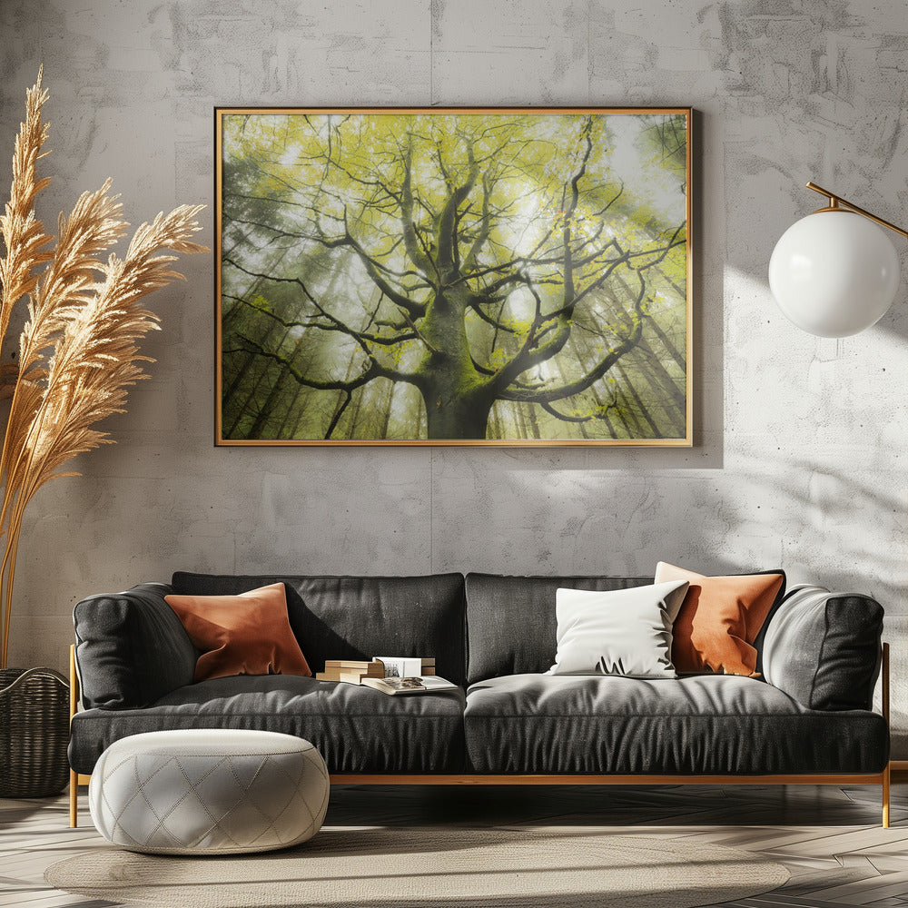 The Dream Tree | Poster