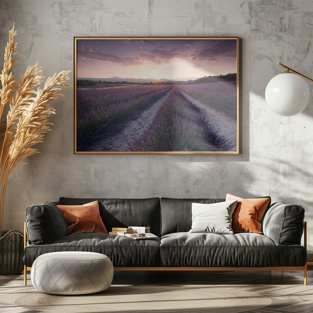 Purple Provence | Poster