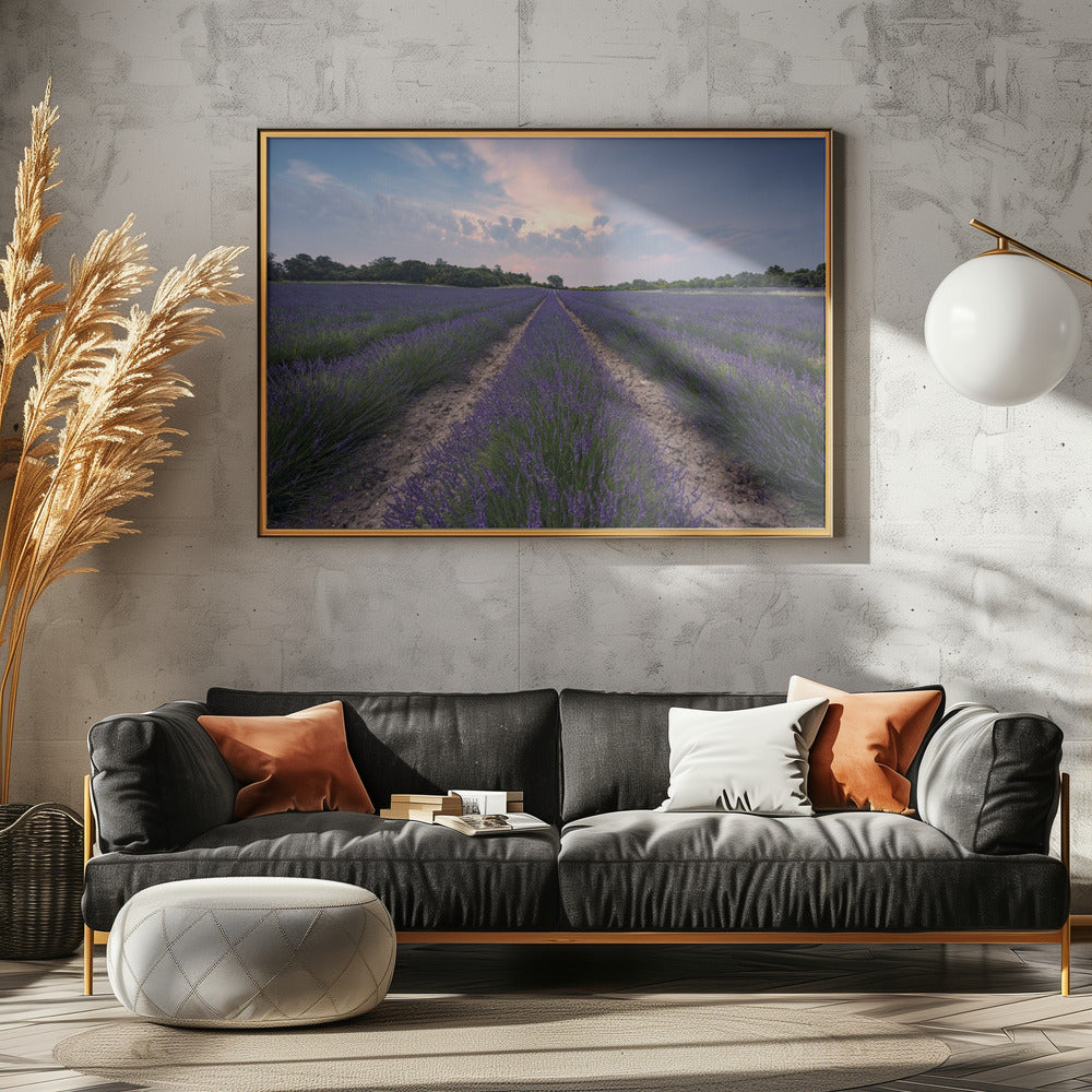 Blue Lavender | Poster