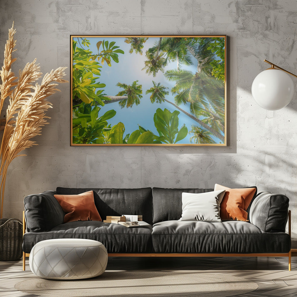 Tropical Up | Canvas
