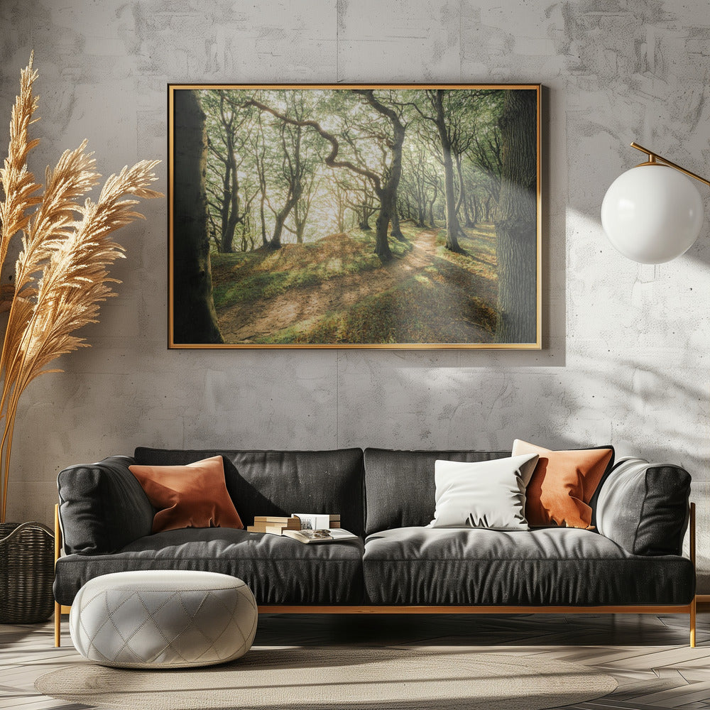Magic Beech Wood | Canvas