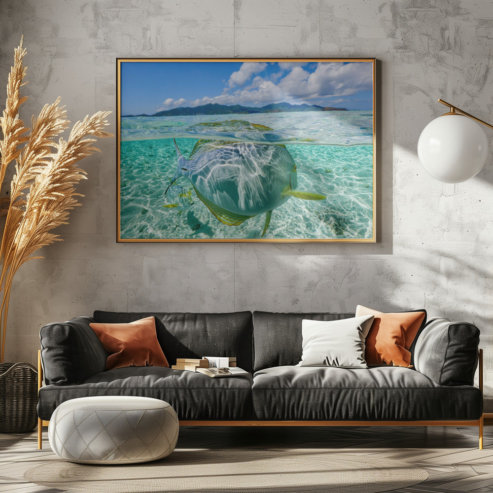 Swimming pool | Poster