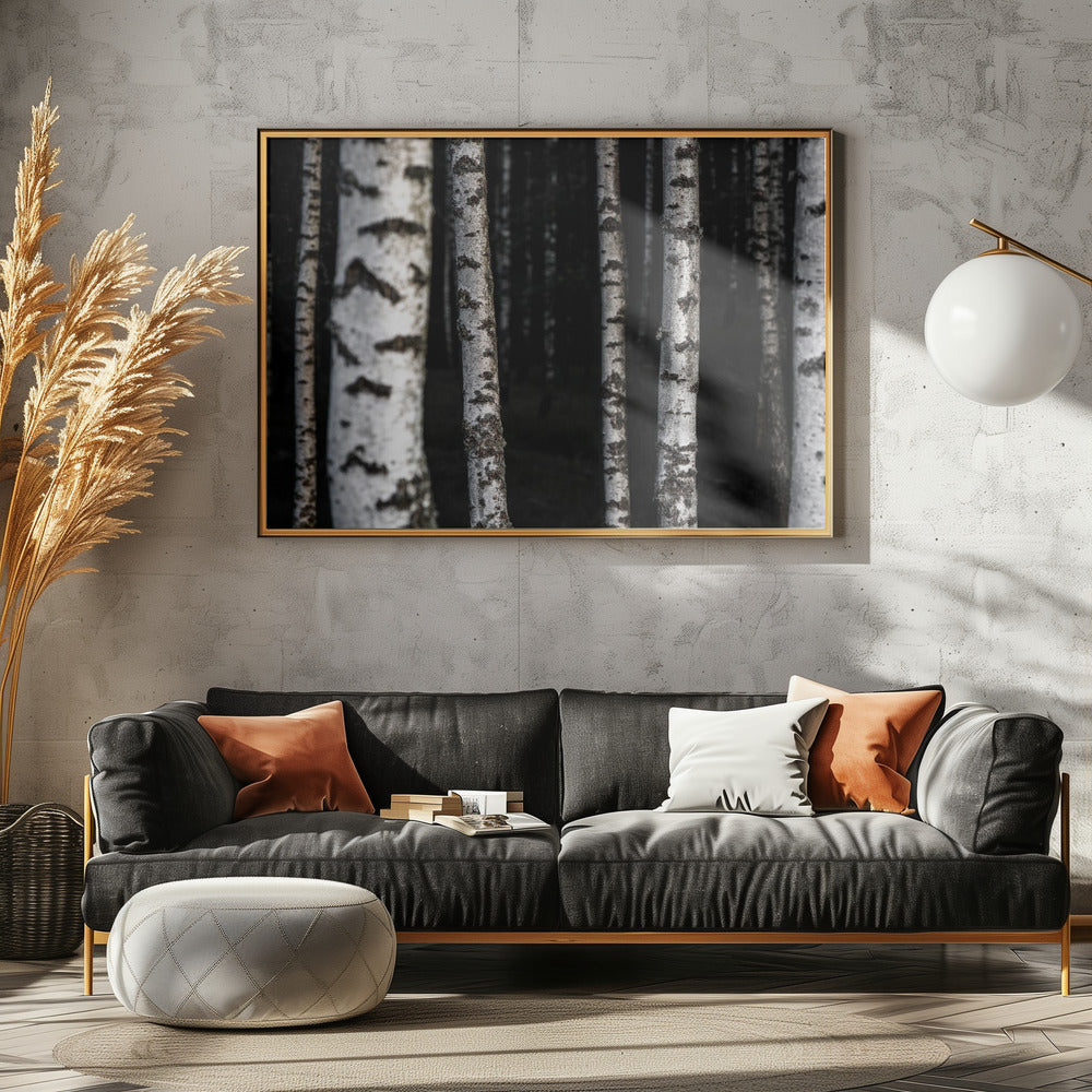 Birch Trees 8 | Poster