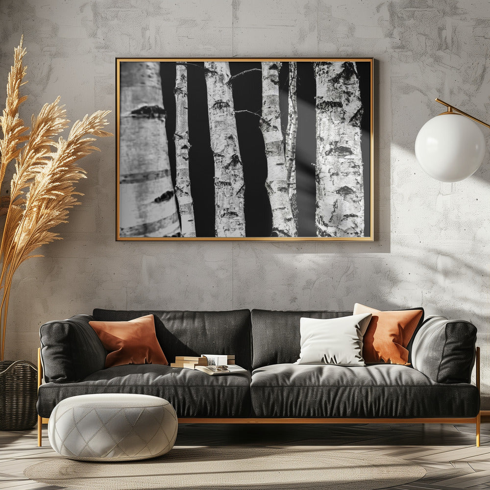 Birch Trees | Poster