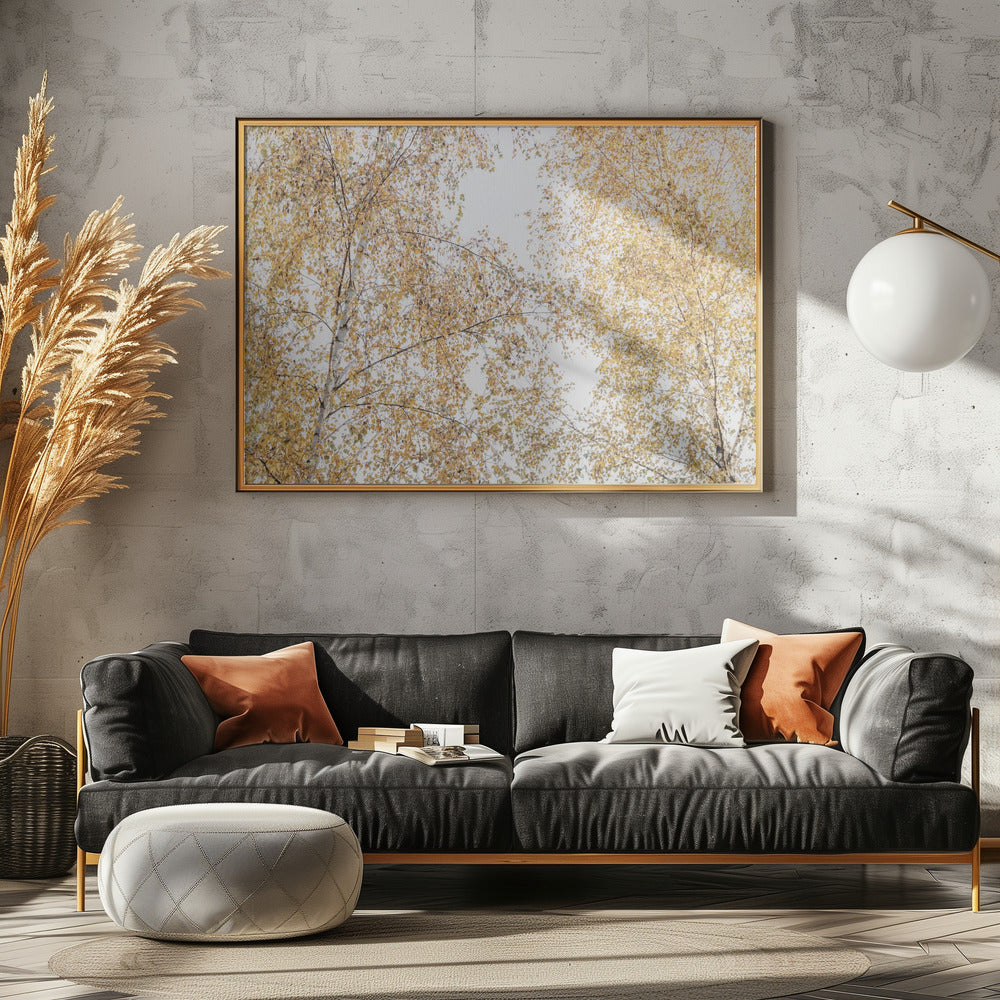 Birch Trees | Canvas