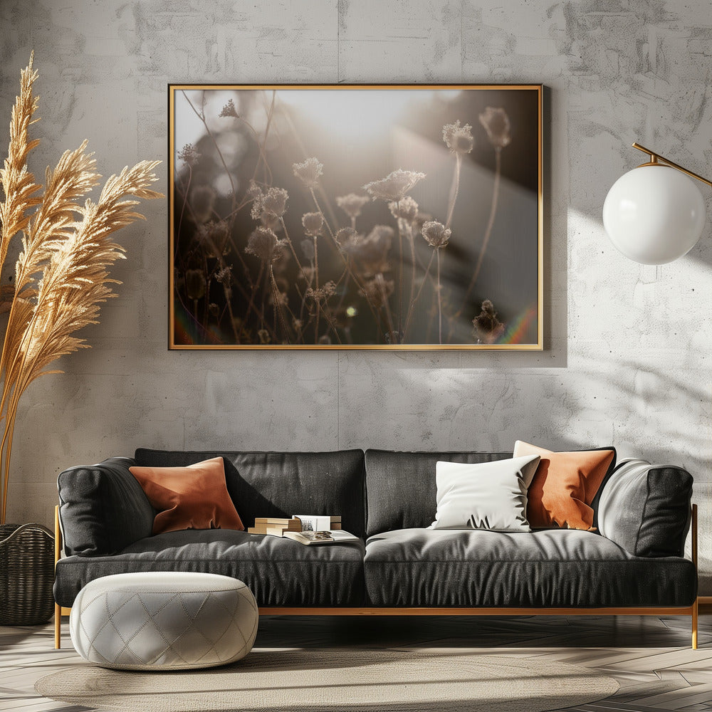 Warm Winter Light 3 | Poster