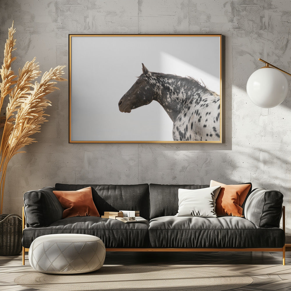 Andromeda 4 | Canvas