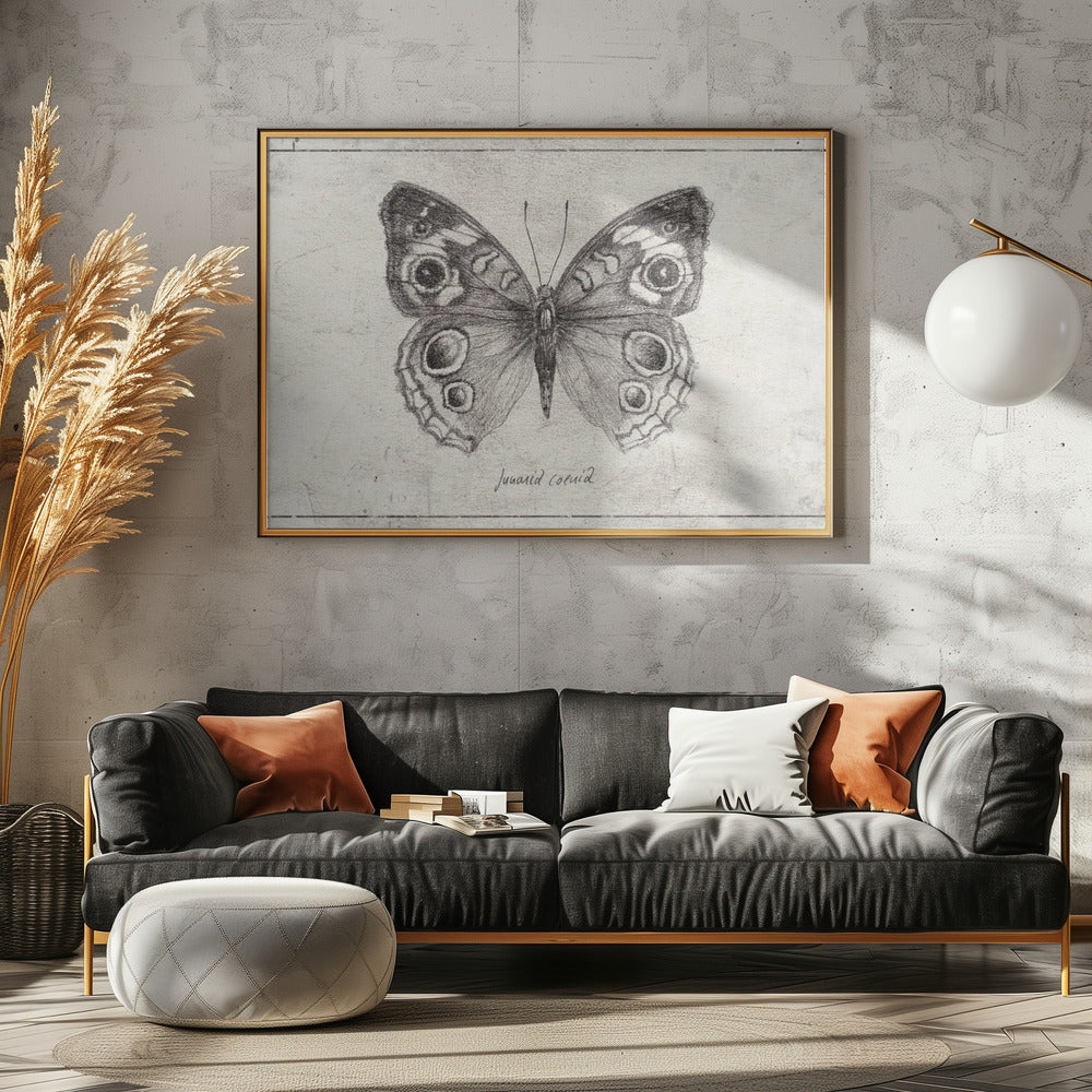 Butterfly Showcases Intricate Wing | Canvas