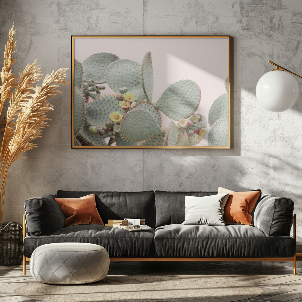 Blooming Cactus | Canvas