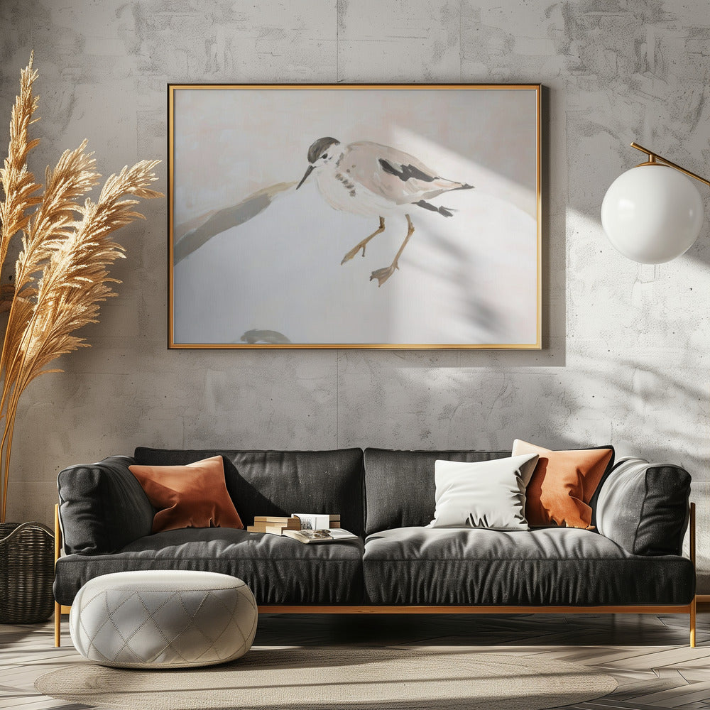 Cute Shorebird | Canvas