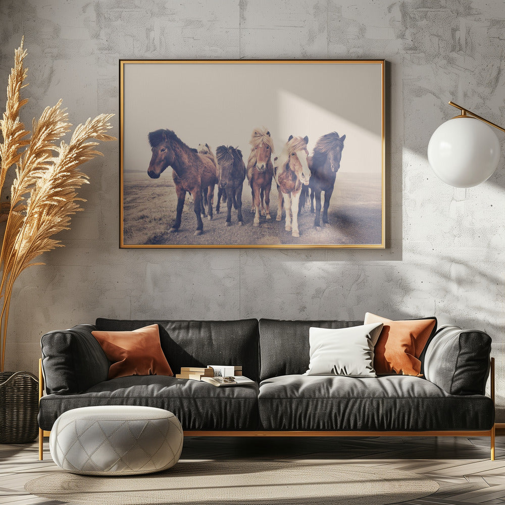 Horses | Poster