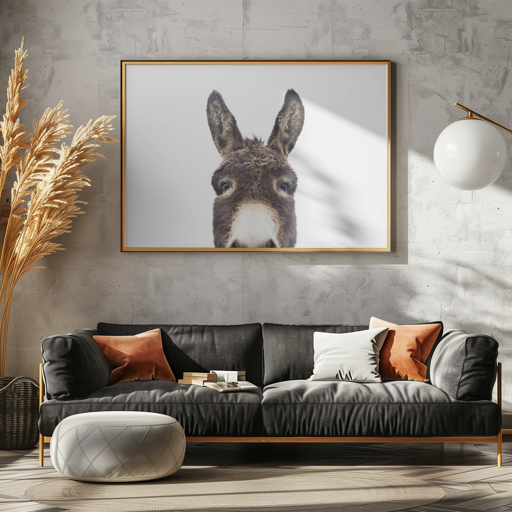 Peeking Donkey | Poster