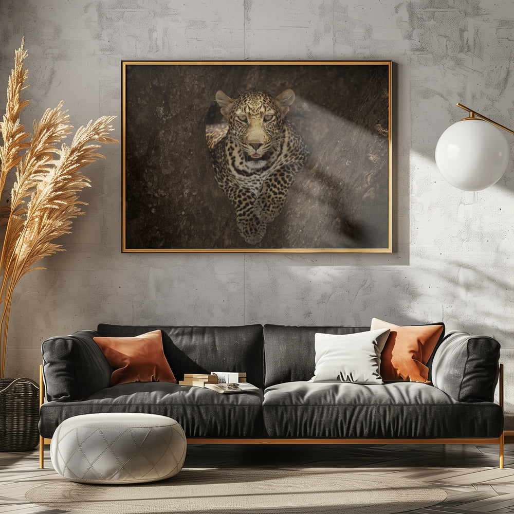 Leopard Resting on a Tree at Masai Mara | Poster