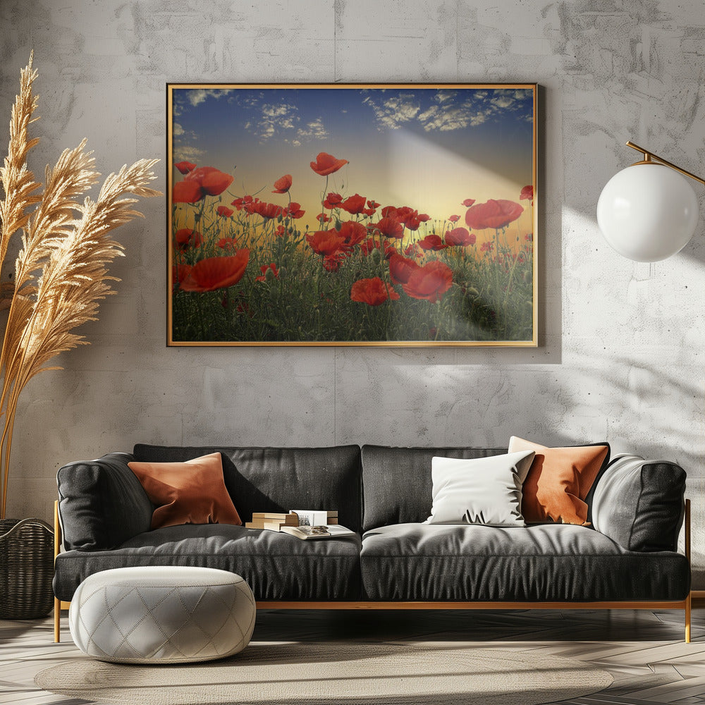 Poppies | Canvas