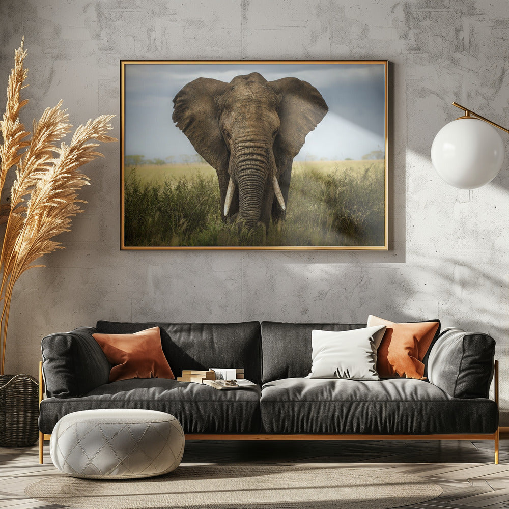 Encounters in Serengeti | Canvas