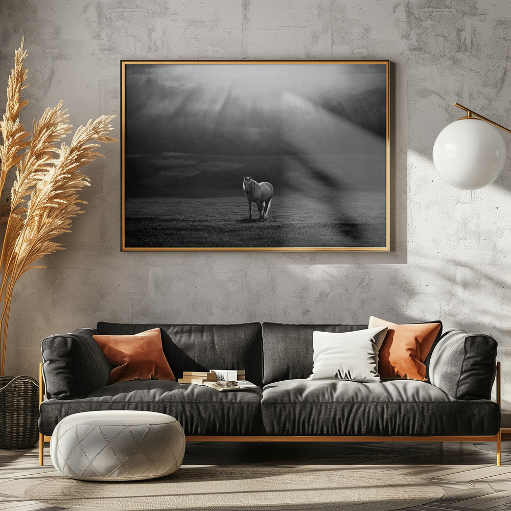 morning appearance | Poster