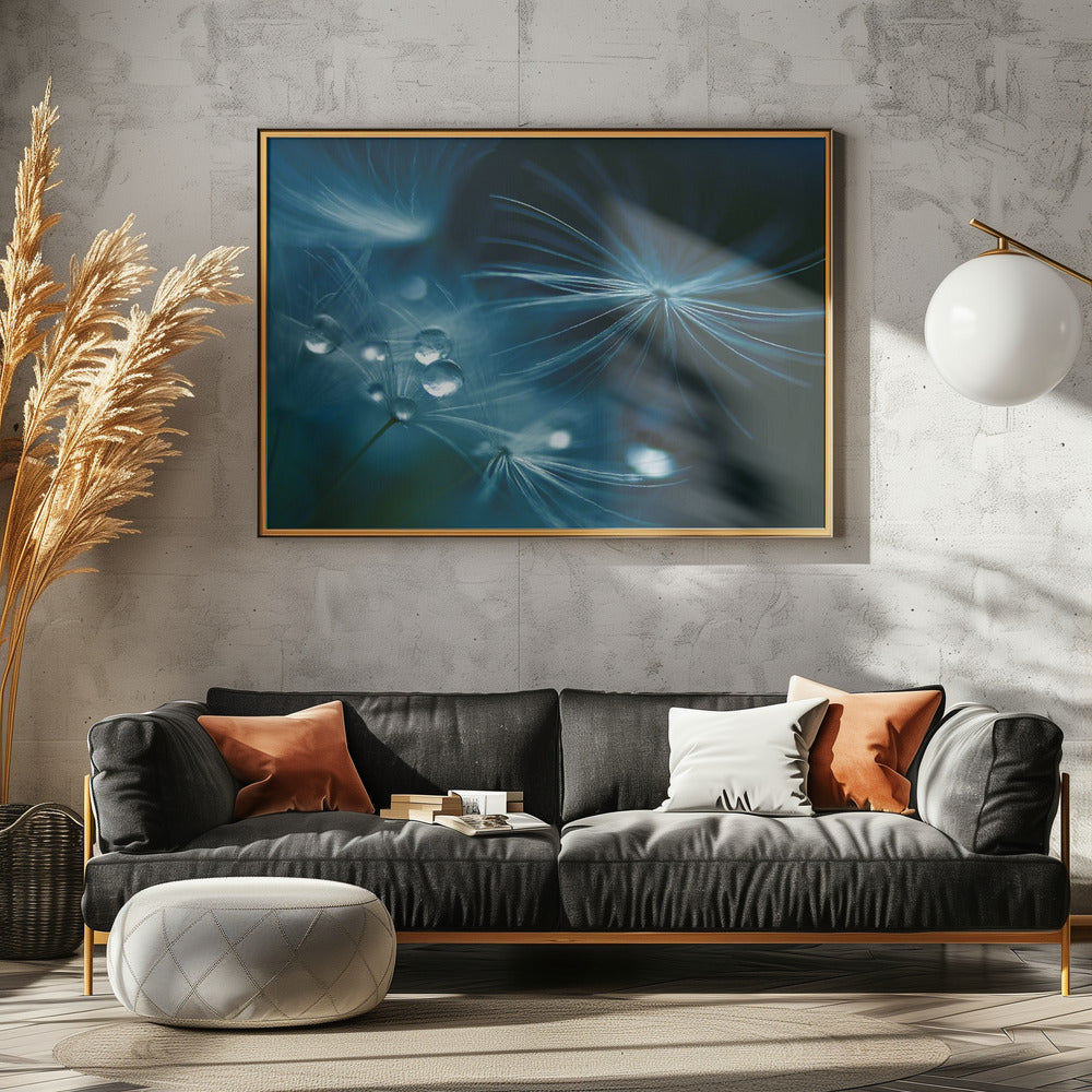 soft touch | Canvas