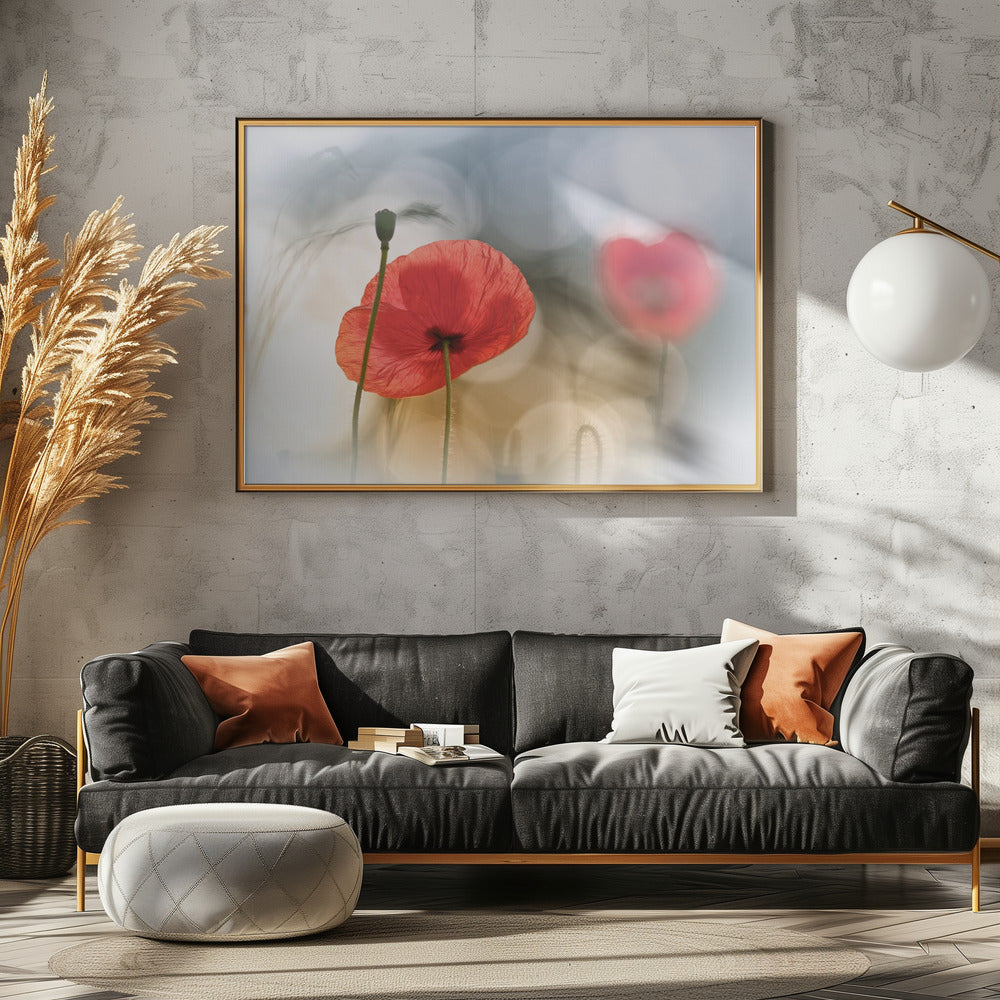 Morning Poppies | Poster