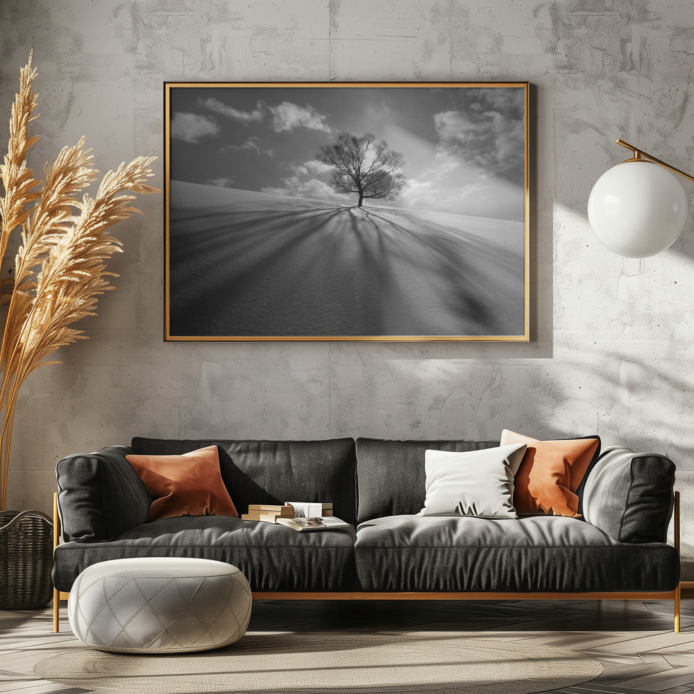 Tree Shadow | Poster