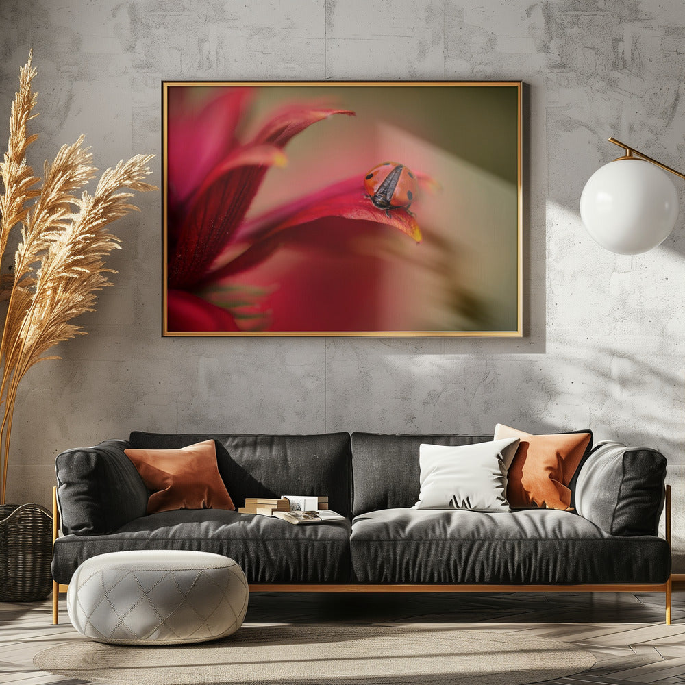 Simply red | Canvas