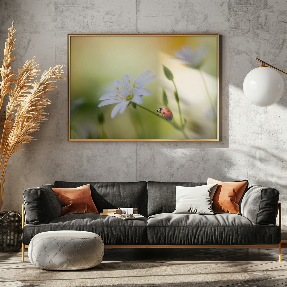 Summer beauties | Canvas