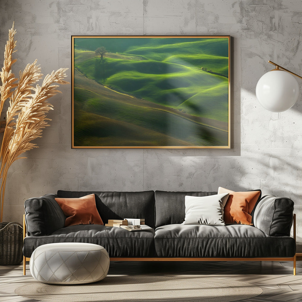 Oak... | Canvas