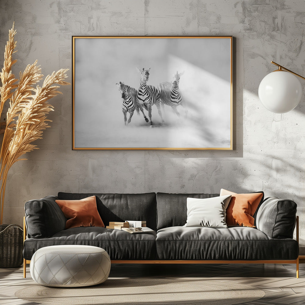 ZEBRAS | Canvas