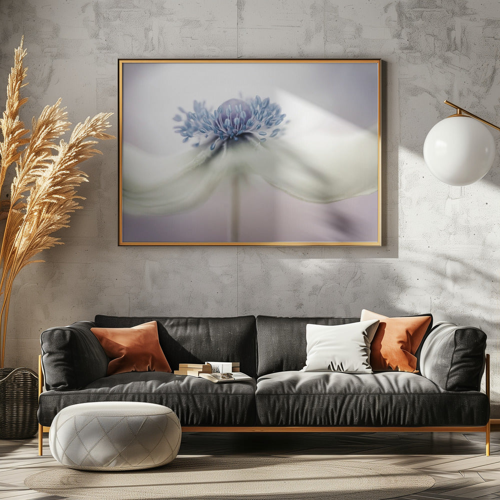a n e m o n e | Canvas