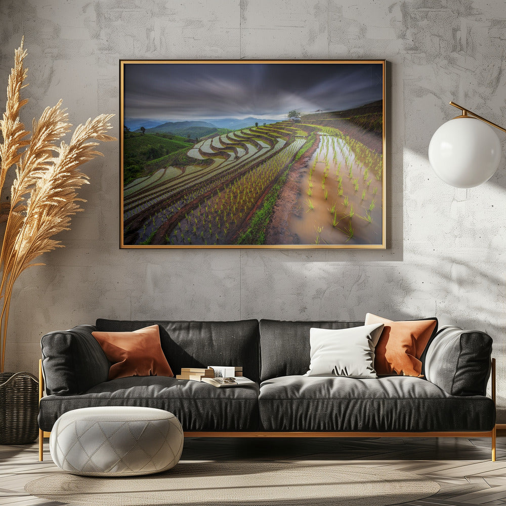 Unseen Rice Field | Poster