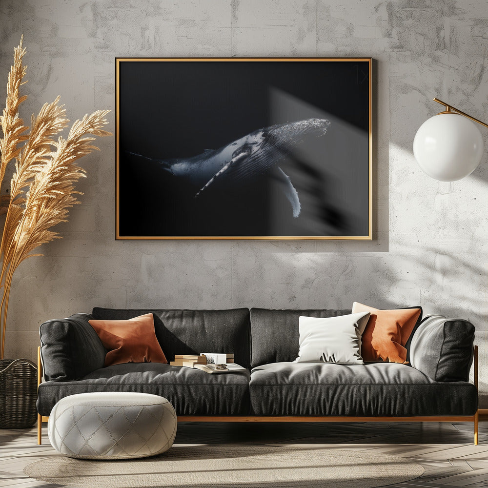 Black & Whale | Canvas