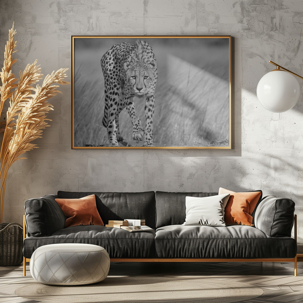 Focused predator | Canvas