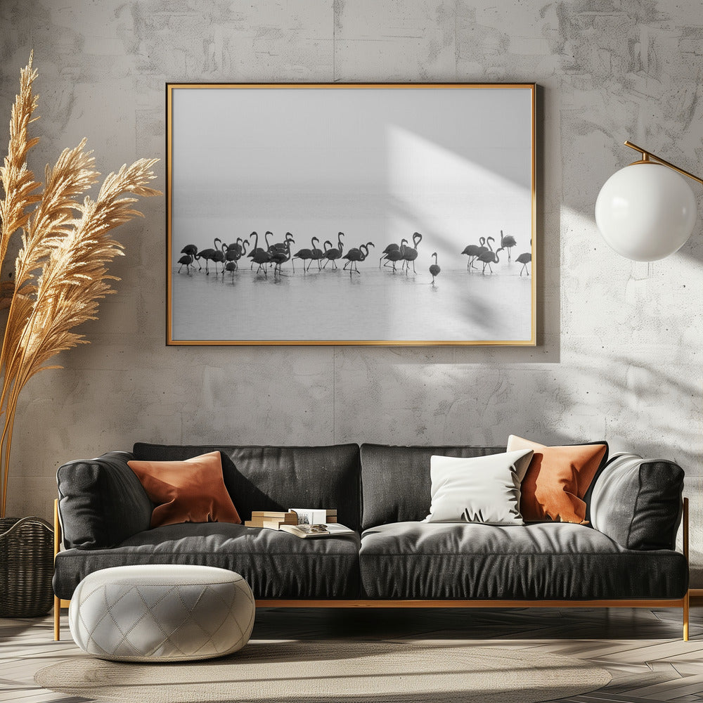 Flamingos | Canvas