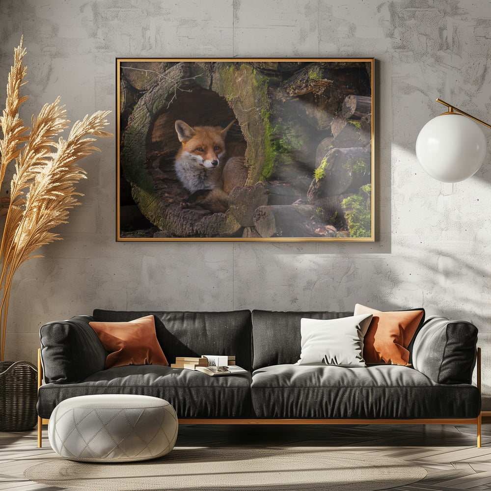 Fox | Canvas