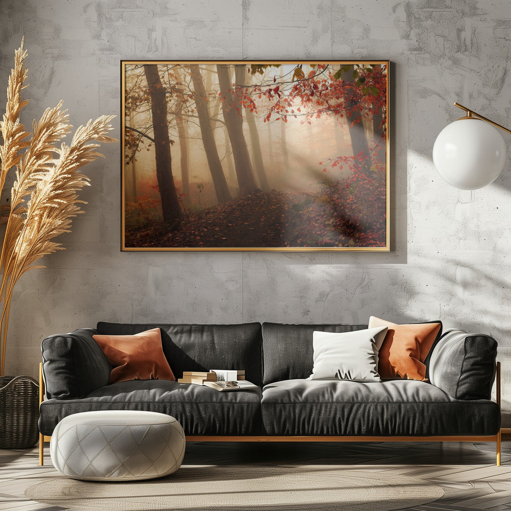 Towards the light. | Canvas