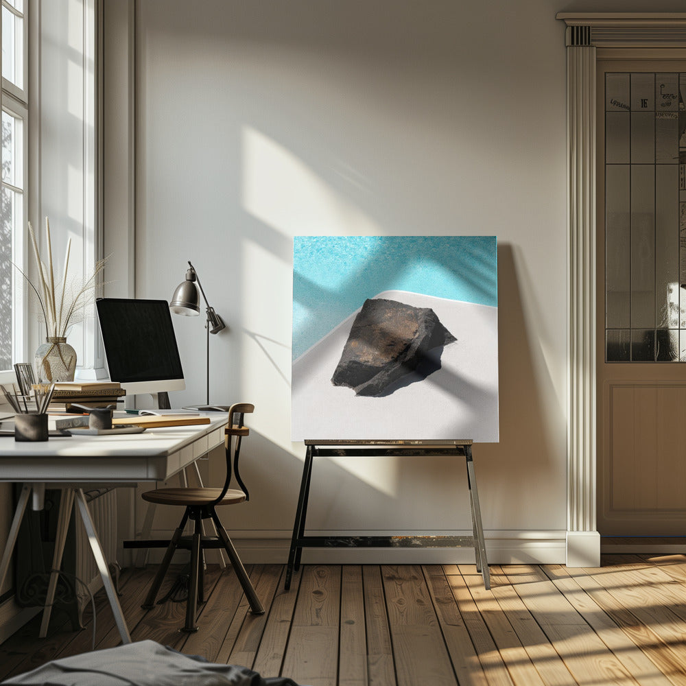 Rock By The Pool | Canvas