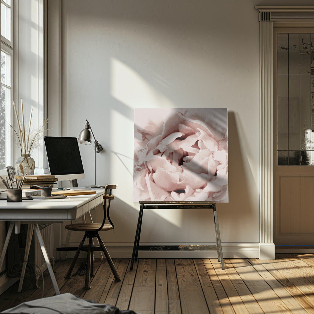 Delicate Peony Flower | Canvas