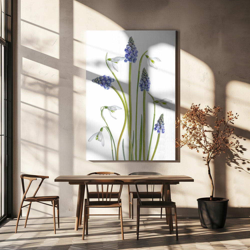 Muscari and Galanthus | Canvas