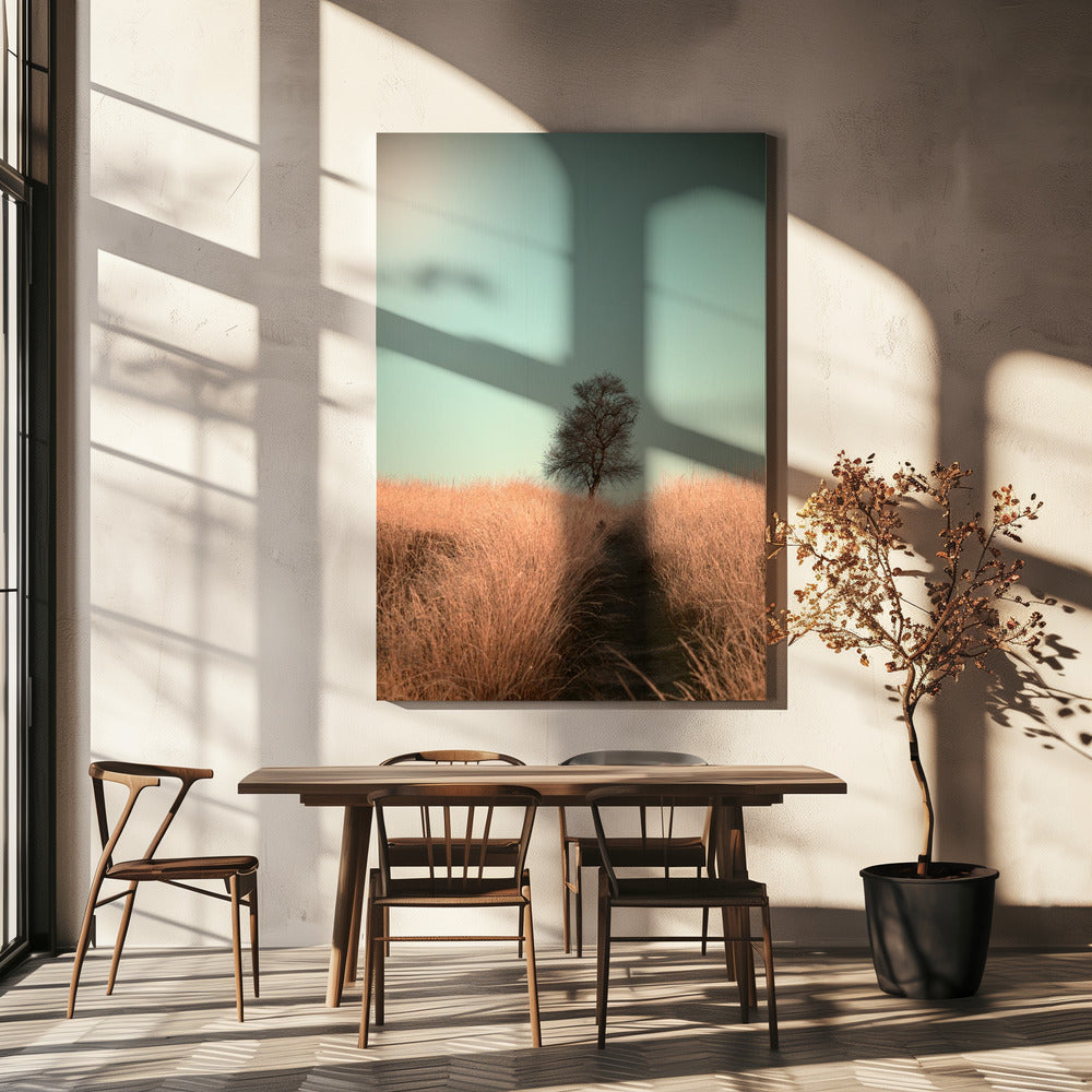 Grass and Path | Canvas