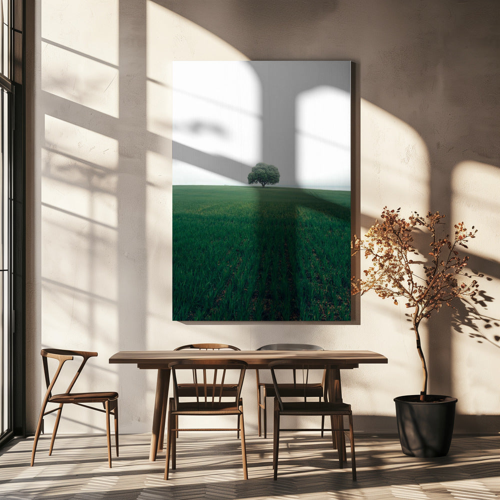 The lonely oak tree | Canvas