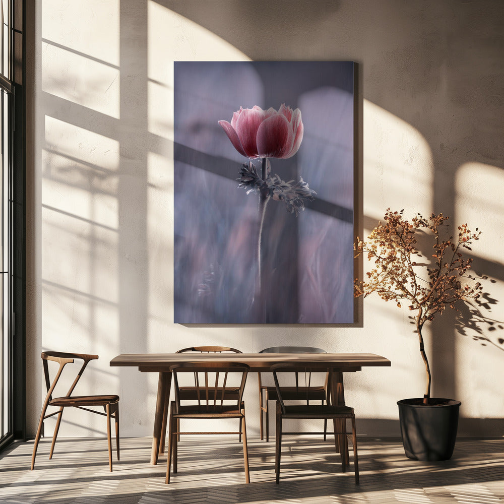 Pink ! So What ? | Canvas