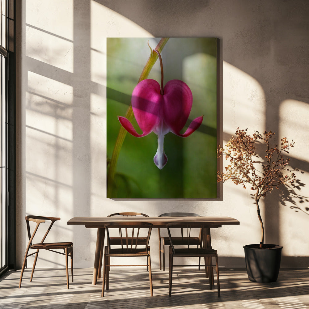 Bleeding Heart | Canvas