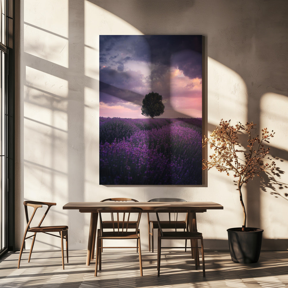 Lavender Fields, Isparta | Canvas