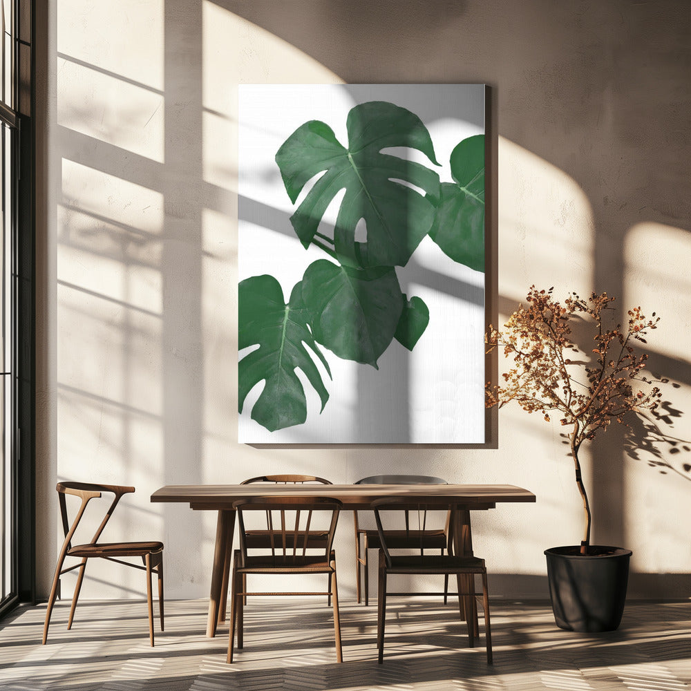 Monstera Aqua 01 | Canvas