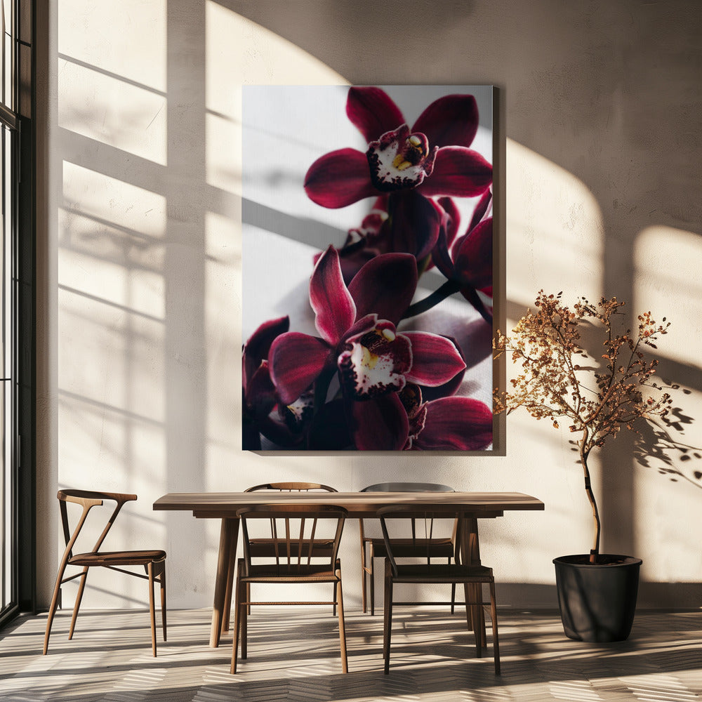 Velvet Orchid Twilight | Canvas