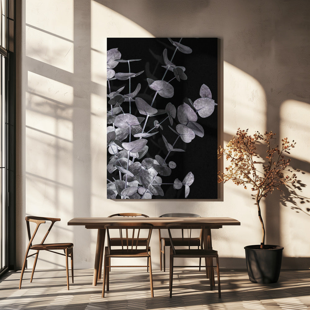 Eucalyptus_Negative_003 | Canvas