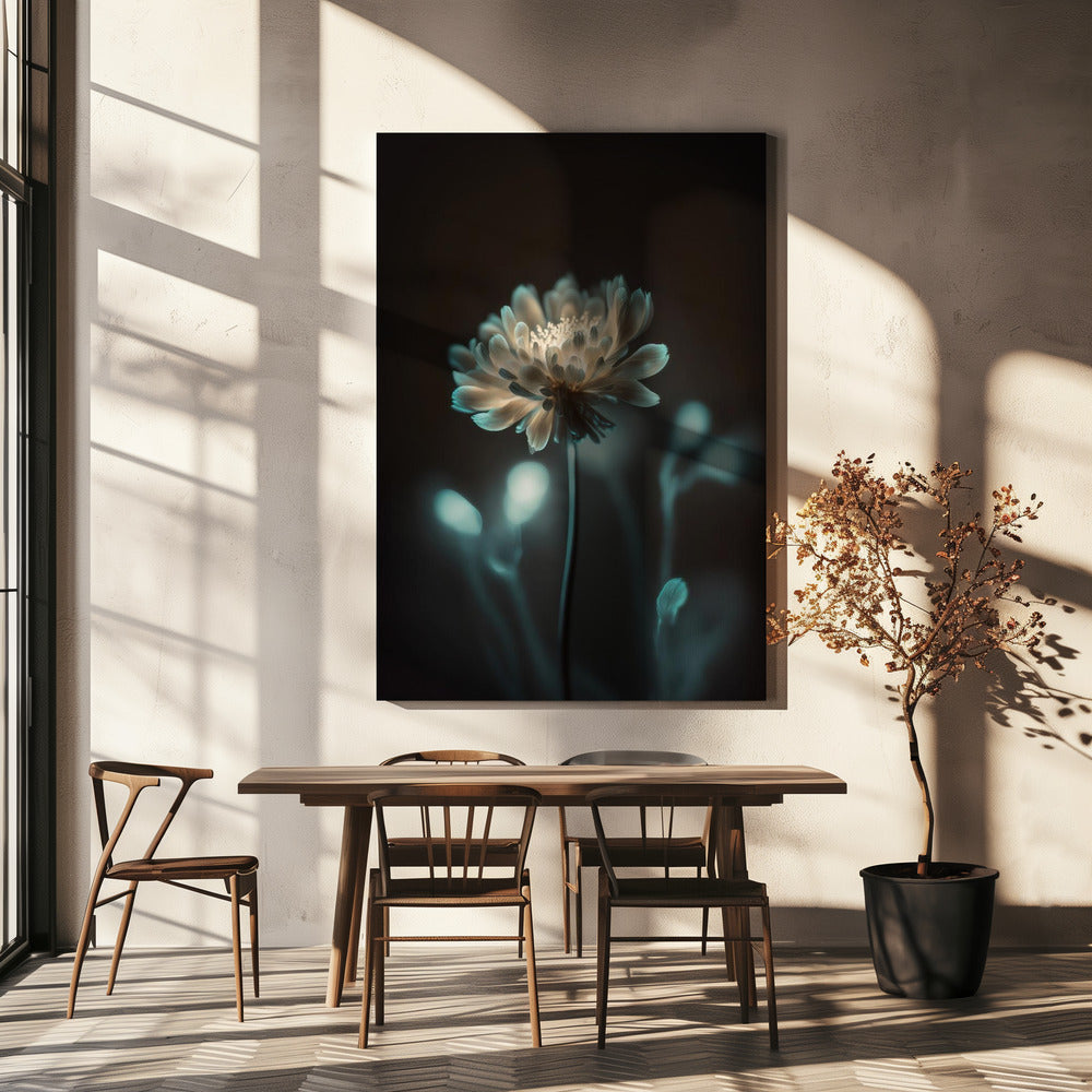 “Luminous Blossom” | Canvas