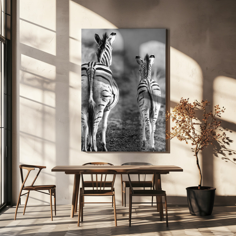 Striped Horse Back Side | Canvas